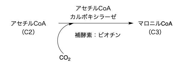 解説画像